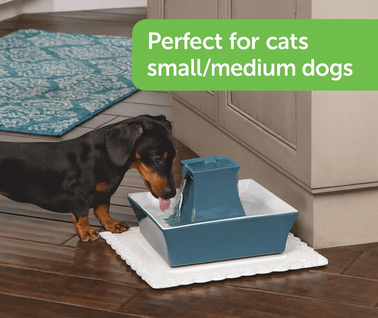 How the PetSafe Pagoda Ceramic Fountain works – continuous water flow with dual filtration system