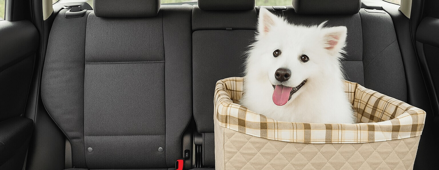 Happy dog enjoying the PetSafe Dog Safety Seat – safe, comfortable and stylish booster seat for cars