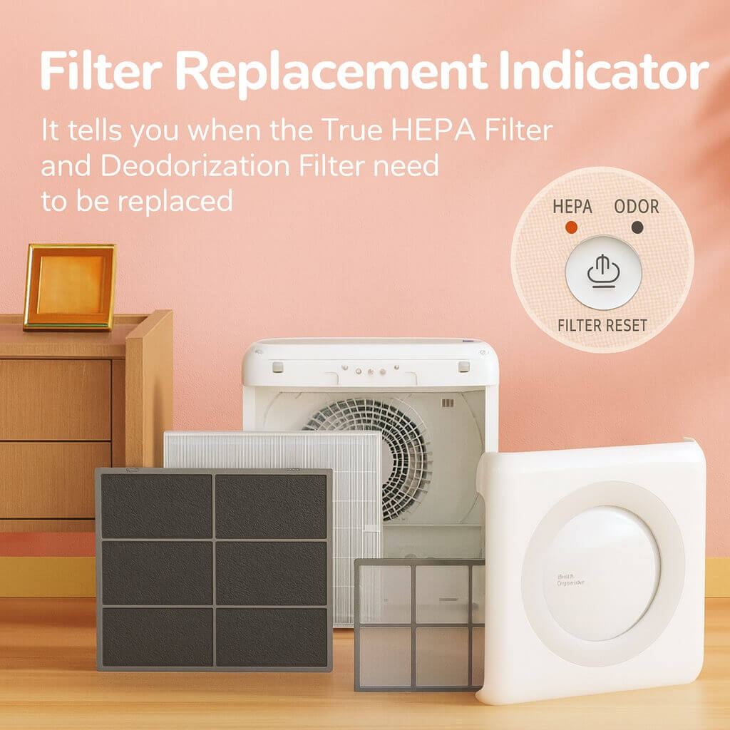 Coway Airmega AP-1512HH box contents: purifier, True HEPA filter, deodorization filter, manuals