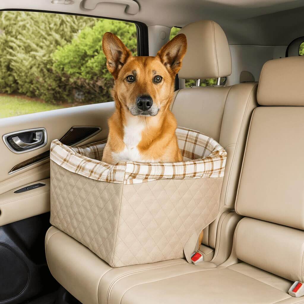 How the PetSafe Dog Safety Seat works – secure booster seat with seat belt tether for safe travel